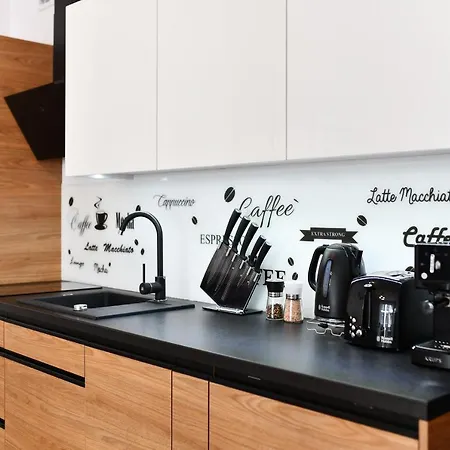 El Rojo Z Garazem Apartment *