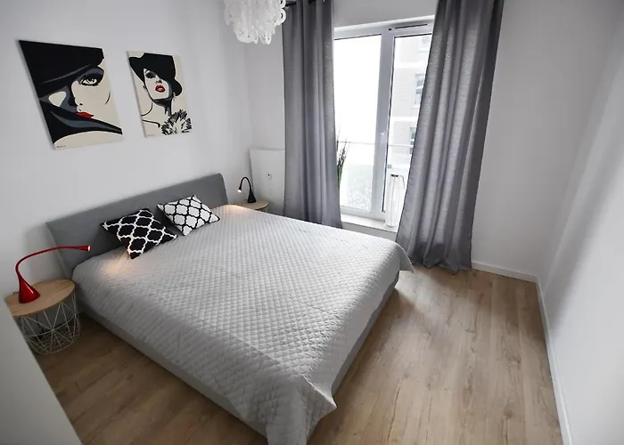 El Rojo Z Garażem *